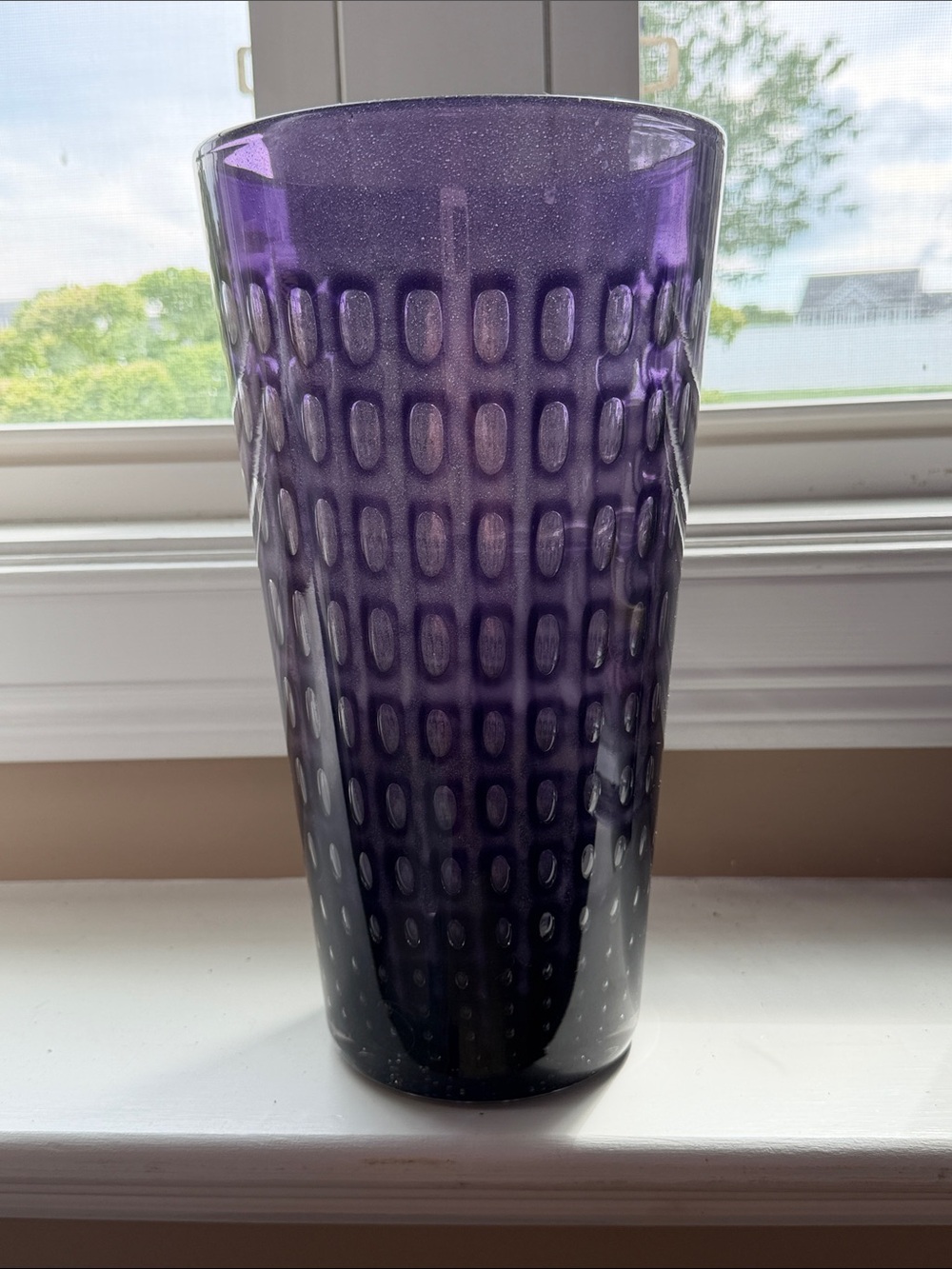 NWOT Crate&Barrel Purple Textured Glass Vase